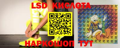 стаф Канаш