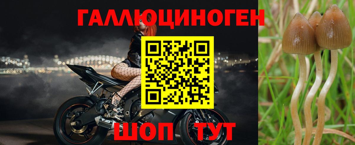 Галлюциногенные грибы прущие грибы  Вход с VPN  Краснознаменск 