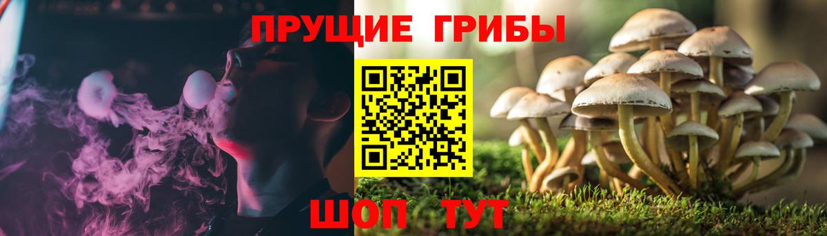 Псилоцибиновые грибы прущие грибы Краснознаменск